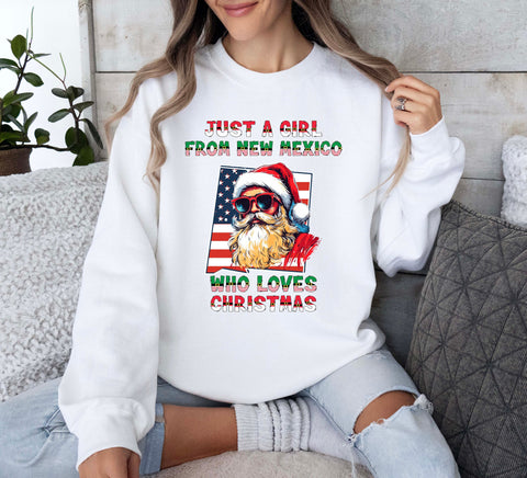 Image of Christmas Sweatshirt New Mexico Xmas Pullovers USA